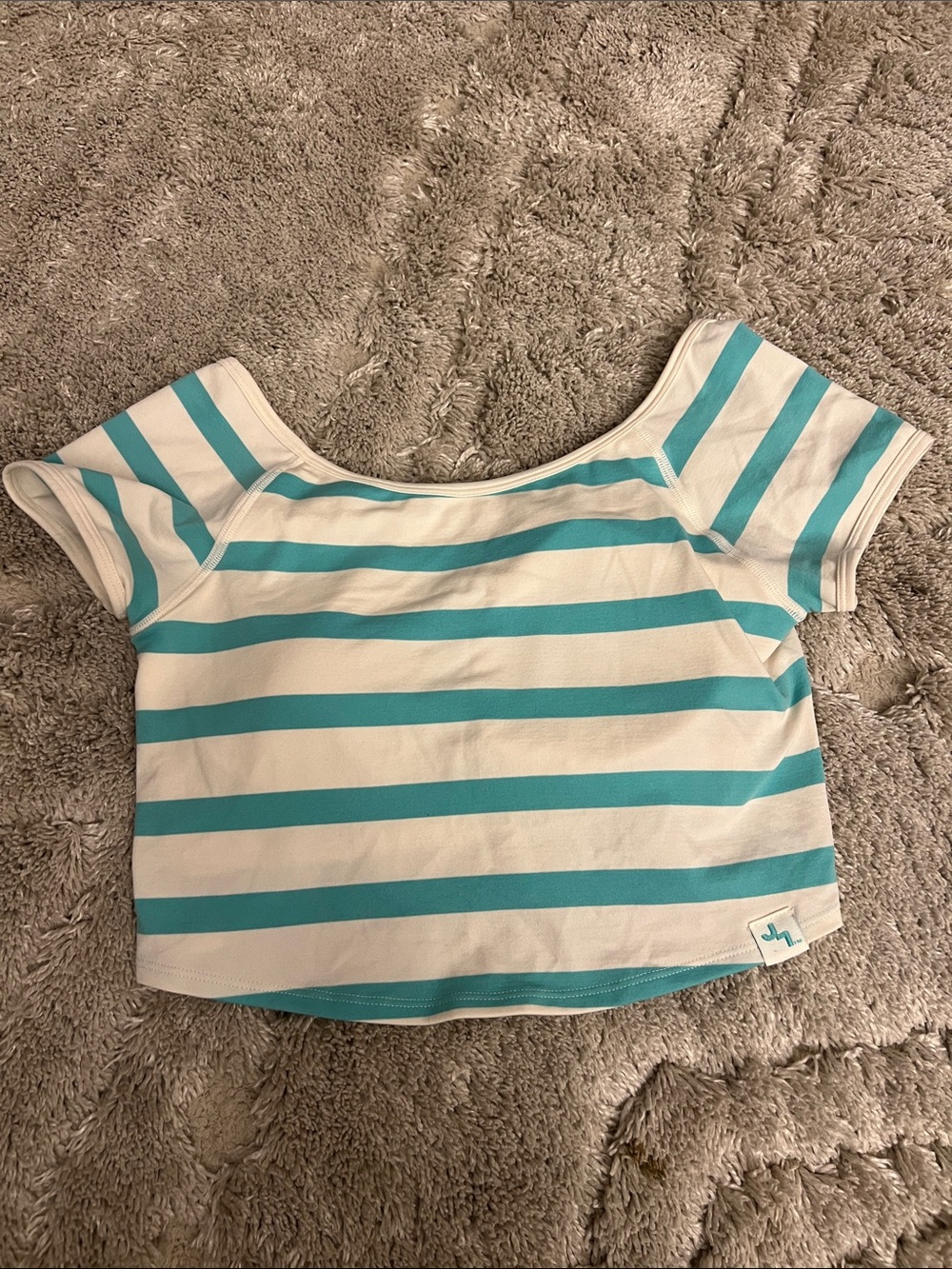 JoyLab Teal and White Striped Crop Top